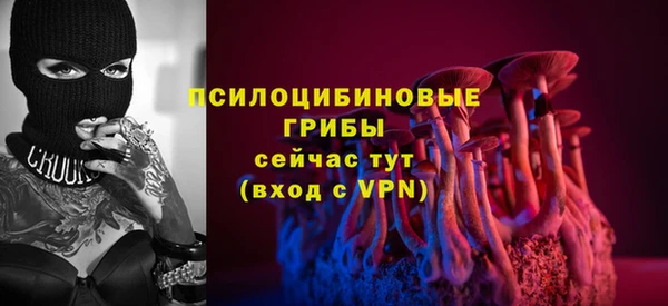 хмурый Балабаново