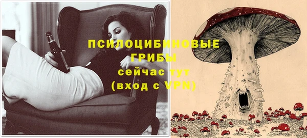 хмурый Балабаново